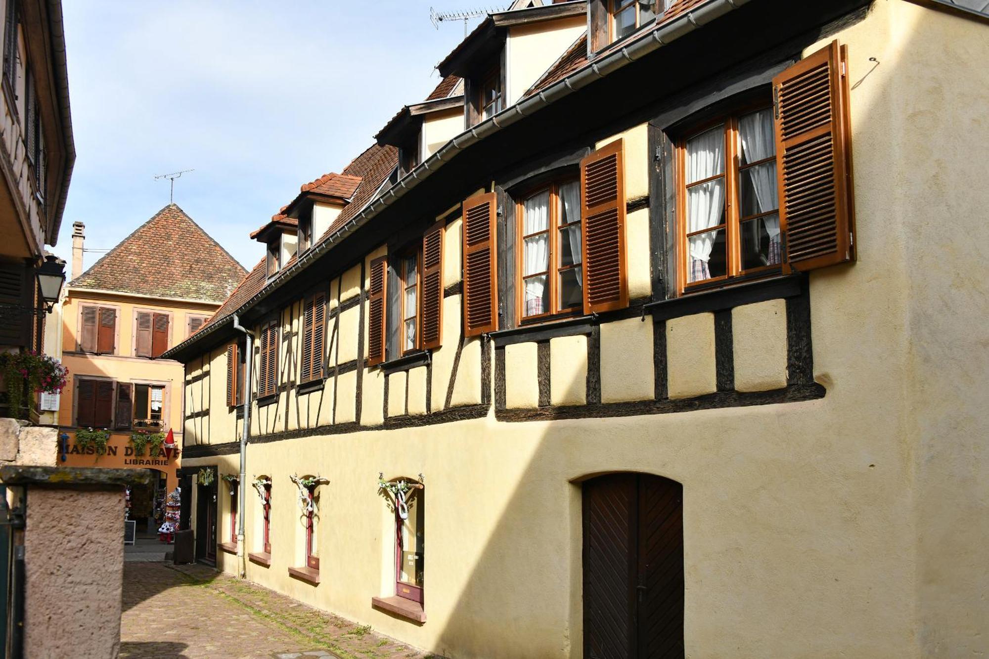 Apartamento Au Nid D'Hirondelles Ribeauvillé Exterior foto